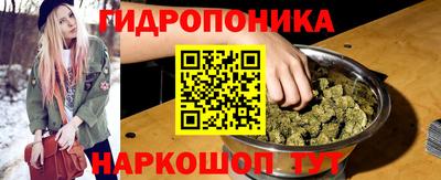 крисы Новокубанск